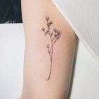 ireneccaa