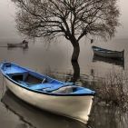 Ahmed.Unais