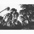 pau_amat-6