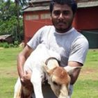 rajeev1991