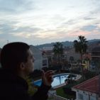 feraroes