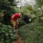 francesco_bonte