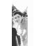 Lucho_2907.-avatar