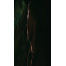 Hugo-201-avatar