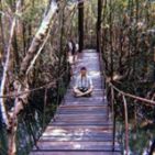 panupong-phanwong-1