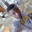 bernard-asiedu