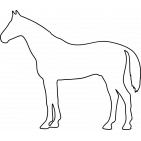 paulamillanbou