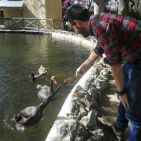 jorge_saece