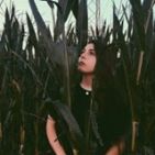 laura-vassallo-1