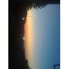 cataleya_1-2