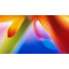 juliallobet-1