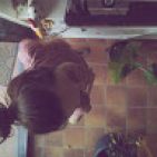 emmasg