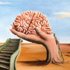 scienzedellamministrazione