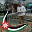 amjad-al-jarah-avatar