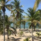 tony080321