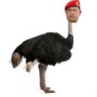 polaguza