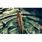 miriam_mell-1
