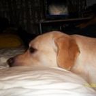 carlos-mateos-1