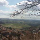 francesco-cosentino-