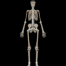 medicina-uninter-2
