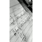 Kamran0078601