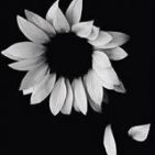paula-lorena-garcia-