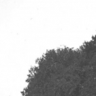 Matz17