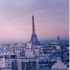 SP_24
