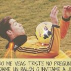 darwin-casco