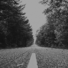 aro_rua1