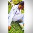 jackeline-castillo-ordinola-avatar