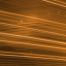 agpp1999-avatar