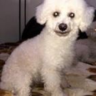 Enana_1997