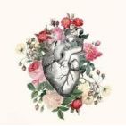 materiais-medicina