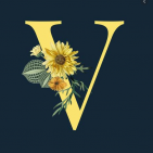 vtealdi