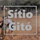 sitio-gito
