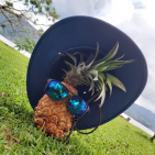 Piñamedic_12