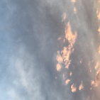 unknown23309
