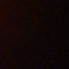 Isseia_am