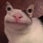 4l4ssj