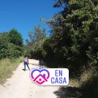 bermudez-constanza