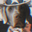 javier183223-avatar