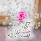 mariam-zewail