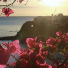caterina-mondello