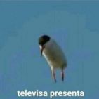 juan-bernal-7