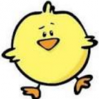 pollito-bandolero