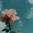 anais-juanes-flordelis