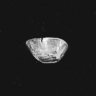 luismontero602