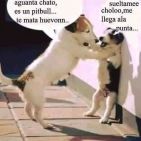 cesar-ch-1
