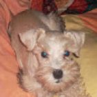 isabel-yepes
